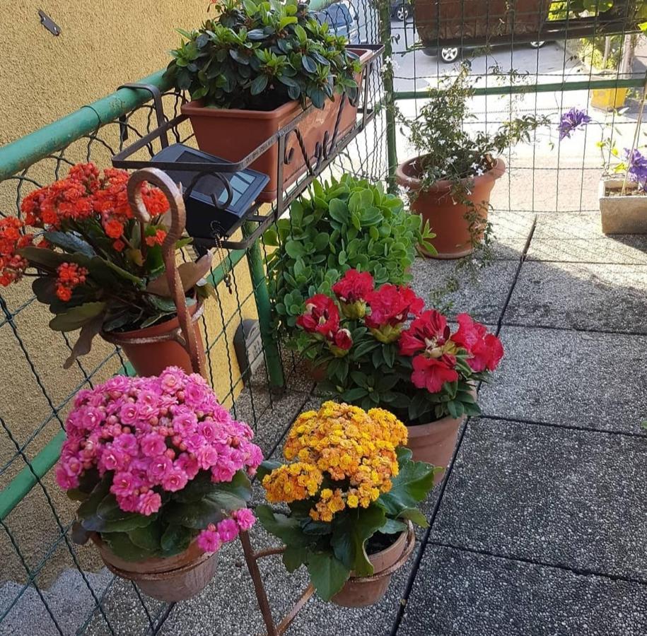 Alloggio Con Idromassaggio E Super Vista Nave San Felice Екстер'єр фото
